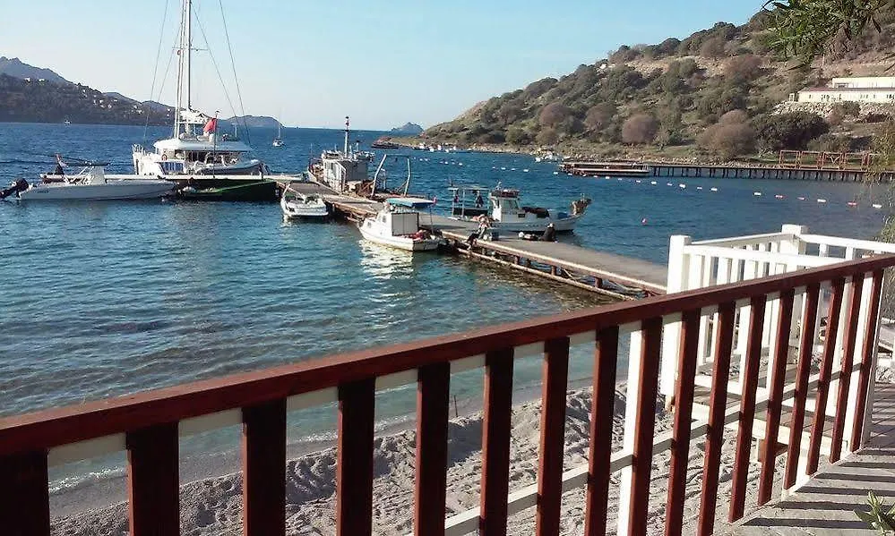Отель Club Flipper Bodrum Яликовак Турция